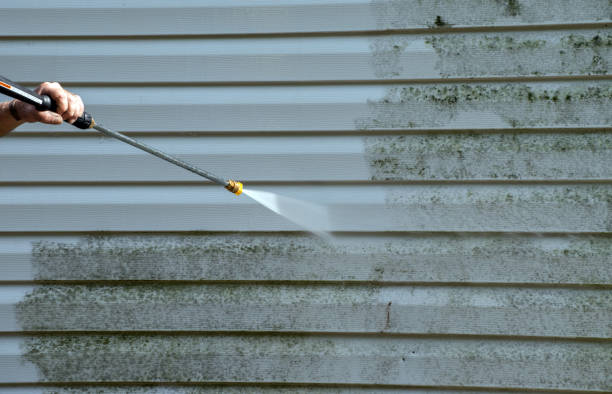 Best Vinyl Siding Pressure Washing in Mankato, MN