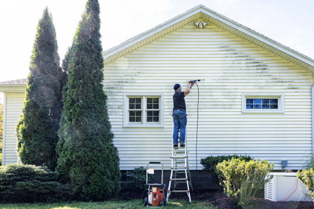 Best Fence Cleaning and Maintenance in Mankato, MN